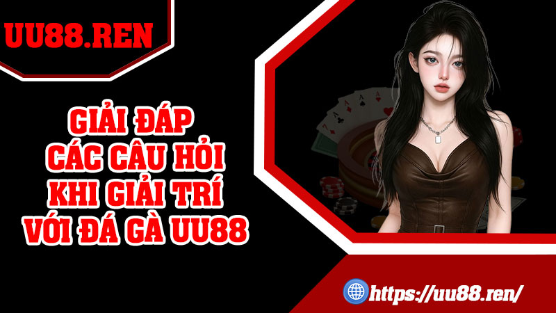 Giải đáp các câu hỏi khi giải trí với đá gà UU88