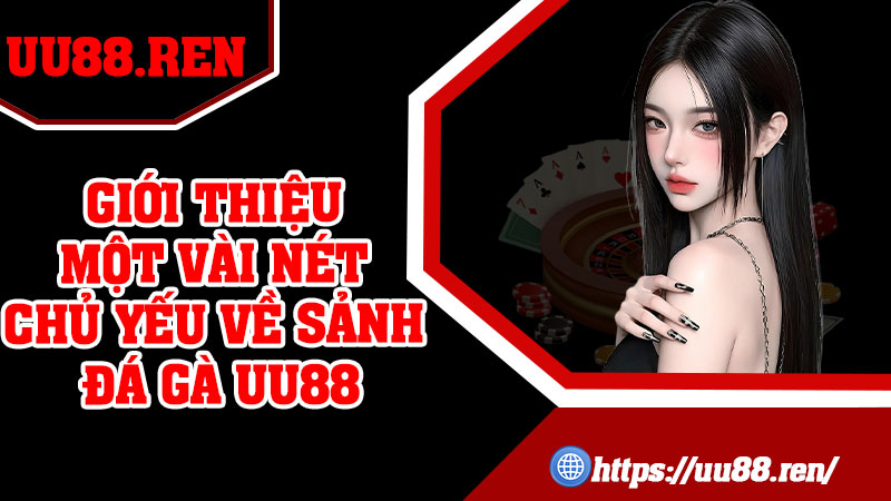 Giới thiệu một vài nét chủ yếu về sảnh đá gà UU88